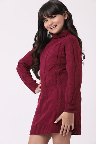 Wine Self Design Straight Dress, Wine, image 3